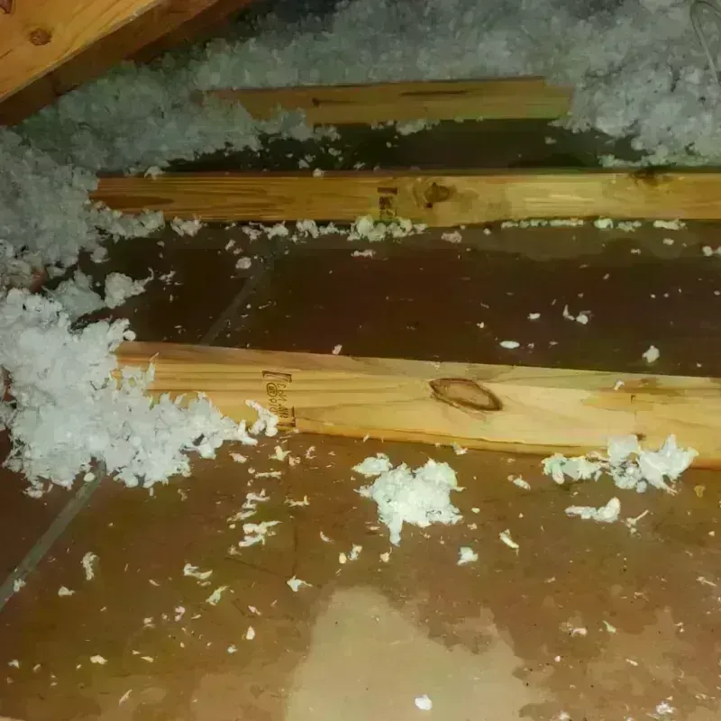 Attic Water Damage in Mission Canyon, CA