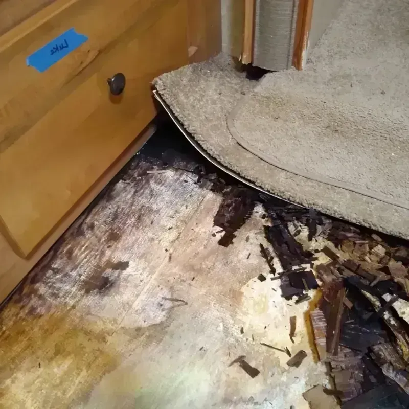 Best Wood Floor Water Damage Service in Mission Canyon, CA